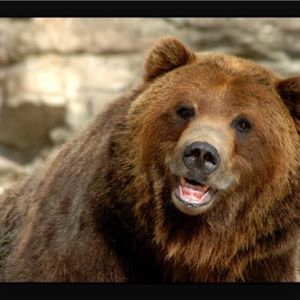 Meet your Posher, Guatemalan